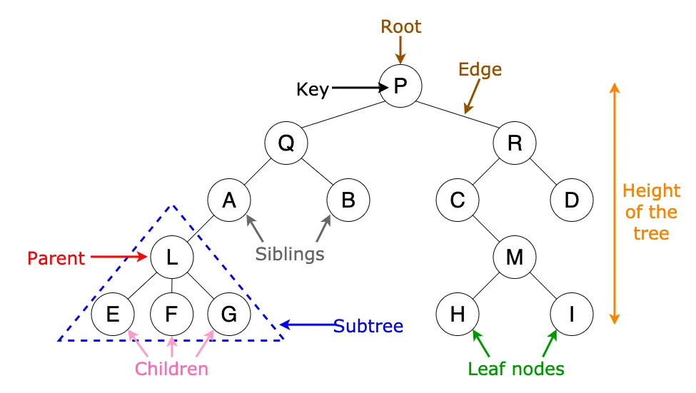 ../_images/tree.webp